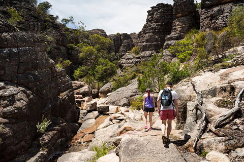 Grampians National Park With Kangaroos And MacKenzie Falls From Melbourne - Perths Hotel 3