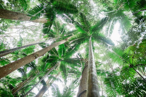 Fraser Explorer K'gari 2-Day Tour - Perths Hotel 2