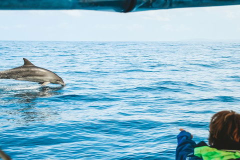 Cruise With Dolphins In Byron Bay - Perths Hotel 0