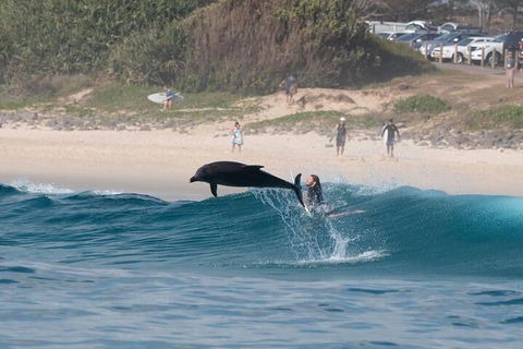 Cruise With Dolphins In Byron Bay - Perths Hotel 3