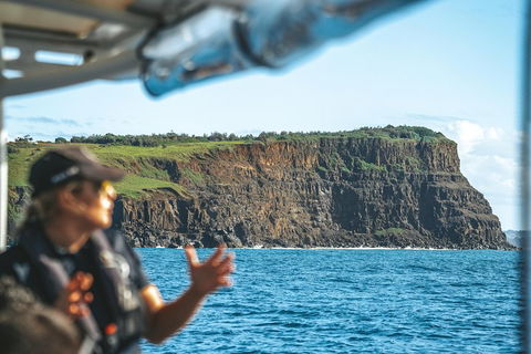 Cruise With Dolphins In Byron Bay - Perths Hotel 4