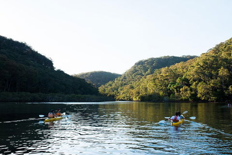 Pittwater Discovery Kayaking Tour - Perths Hotel 1