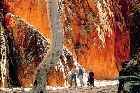 West MacDonnell Ranges Day Trip From Alice Springs - Perths Hotel 3