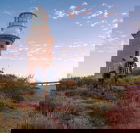 6-Day Coral Coaster from Perth to Exmouth One-Way via Monkey Mia Ningaloo Reef - Perths Hotel