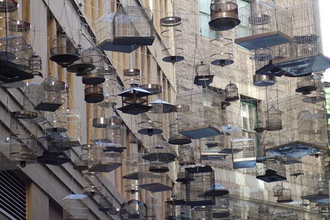 Sydney Scavenger Hunt: Inside Sydney - Perths Hotel 0