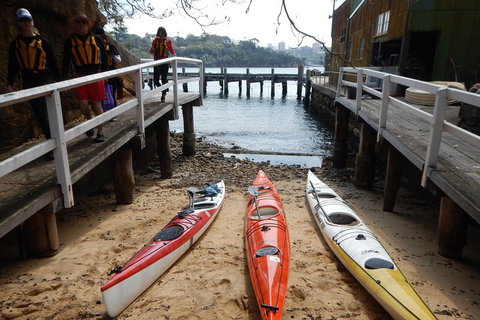 Kayak To Goat Island In Sydney Harbour With Local - Perths Hotel 3