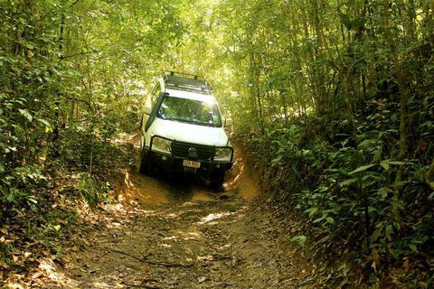 Barron Gorge And Kuranda National Park Half Day Rainforest And Waterfall 4WD Tour From Cairns - Perths Hotel 2