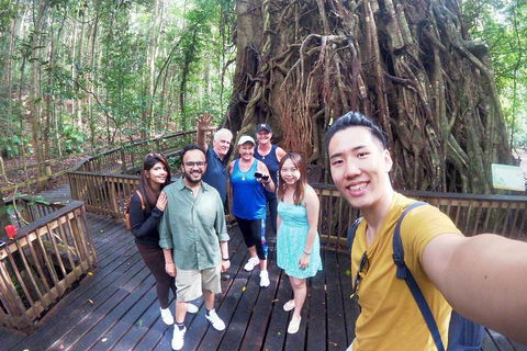 Barron Gorge And Kuranda National Park Half Day Rainforest And Waterfall 4WD Tour From Cairns - Perths Hotel 5