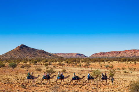 Alice Springs Camel Tour - Perths Hotel 0