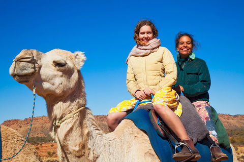 Alice Springs Camel Tour - Perths Hotel 3