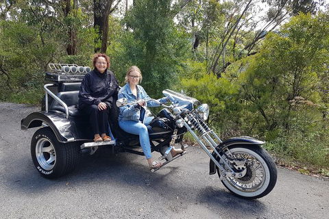 Blue Mountains 1-Hour Trike Tour Of Three Sisters - Perths Hotel 1