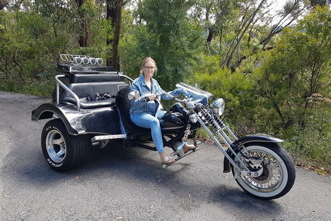 Blue Mountains 1-Hour Trike Tour Of Three Sisters - Perths Hotel 4
