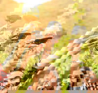 Adelaide Hills Day Tour. Winery Cellar Doors - Perths Hotel