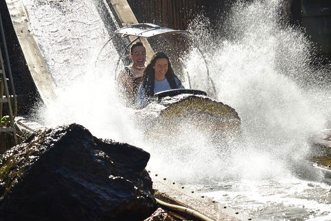 Theme Park Transfer From Brisbane - Perths Hotel 1