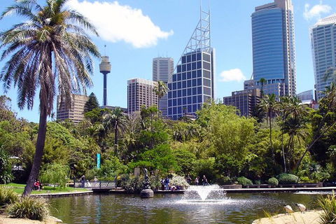 Private Sydney Half Day Tour Including Sydney Opera House And Bondi Beach - Perths Hotel 4