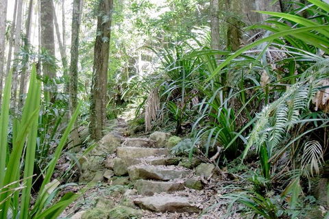 Byron Bay Combo: Minyon Falls And Hinterland Day Trip And Learn To Surf At Byron Bay - Perths Hotel 3