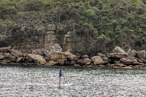 Manly & Sydney's Northern Beaches With 'Personalised Sydney Tours' - Perths Hotel 3