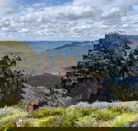 Blue Mountains Private Tour - wild kangaroos waterfalls and The Three Sisters - Perths Hotel