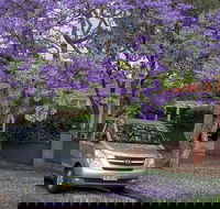 Sydney Secrets  Bondi Beach Private 4 Hr Morning with Personalised Sydney Tours - Perths Hotel