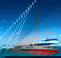 Passions of Paradise Great Barrier Reef Snorkel and Dive Cruise from Cairns by Luxury Catamaran - Perths Hotel