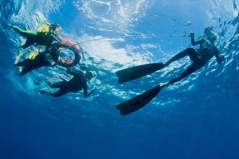 Passions Of Paradise Great Barrier Reef Snorkel And Dive Cruise From Cairns By Luxury Catamaran - Perths Hotel 2