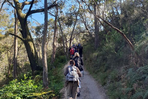 Mount Lofty Hike And Cleland Wildlife Park Day Trip From Adelaide - Perths Hotel 3