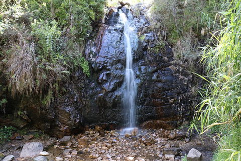 Mount Lofty Hike And Cleland Wildlife Park Day Trip From Adelaide - Perths Hotel 4