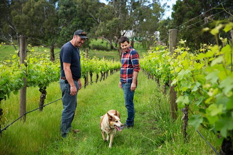 LGBT+ Friendly Full Day Yarra Valley & Dandenong Ranges Private Tour - Perths Hotel 4