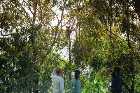 LGBT+ Friendly 3 Day Tour The Grampians, Daylesford & Ballarat - Perths Hotel 4