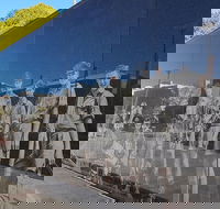 Cultural Caper Adelaide Walking Tour - Perths Hotel