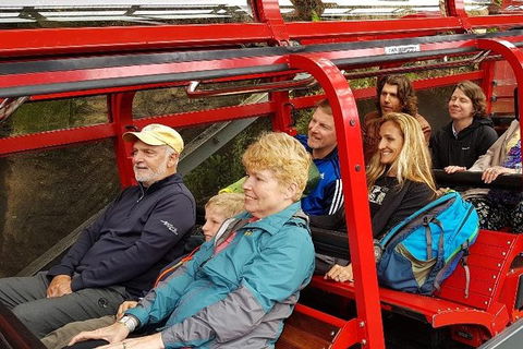 Blue Mountains Ultimate One-Day Tour - Perths Hotel 0