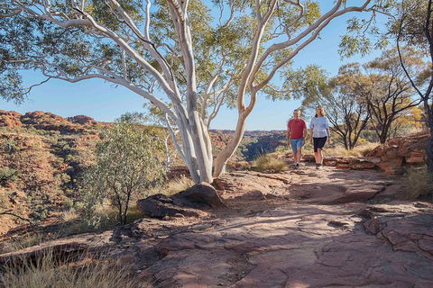 3-Day Tour From Uluru (Ayers Rock) To Alice Springs Via Kings Canyon - Perths Hotel 1