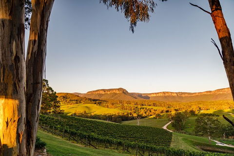 Taste Of The Blue Mountains - Lunch & Wine Tasting, Beer, Cider & Gin Tasting - Perths Hotel 1