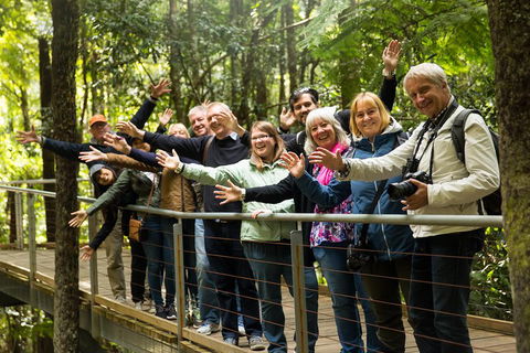 All Inclusive Blue Mountains Small-Group Day Trip From Sydney - Perths Hotel 5