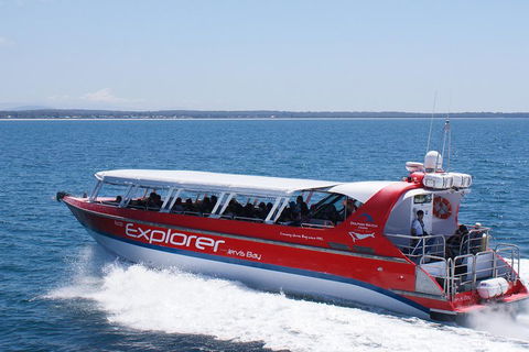 Whale Watching Jervis Bay - Perths Hotel 1