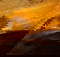 From the Mountains to the Bay - 4 Day Rediscovery Small Group Tour - Perths Hotel