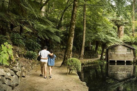 Discover Tour: Dandenong Ranges & William Ricketts Sanctuary - Perths Hotel 0
