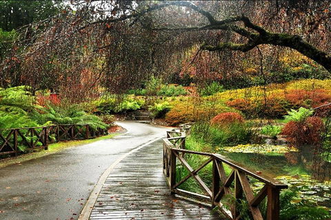 Discover Tour: Dandenong Ranges & William Ricketts Sanctuary - Perths Hotel 3