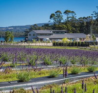 Private Hobart Discover South East Food and Scenic Tour - Perths Hotel