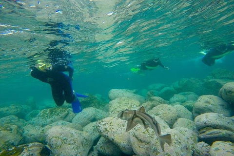Manly And Shelly Beach Snorkeling Tour - Perths Hotel 1