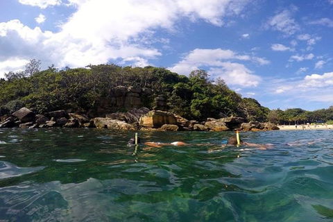 Manly And Shelly Beach Snorkeling Tour - Perths Hotel 4