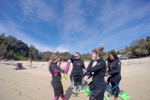 Manly And Shelly Beach Snorkeling Tour - Perths Hotel 5