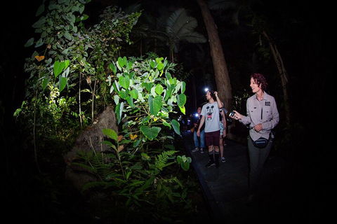 Let's Go Buggin & Let's Go Shroomin - Photography & Nature Walking Tours - Perths Hotel 4