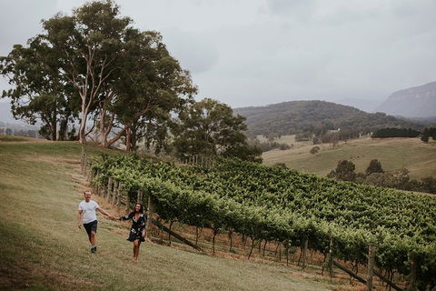 Luxury Blue Mountains Tour With Aussie BBQ Lunch And Wine Tasting - Perths Hotel 3