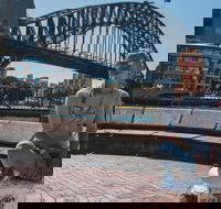 Sydney Food Tour with a Local Guide Private  Personalized  - Perths Hotel