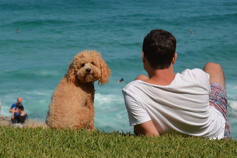 See Sydney With A Local: Private & Personalized - Perths Hotel 5