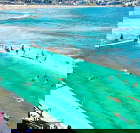 Sydney City Harbour  Bondi Private Tour with Airport pick up or drop off - Perths Hotel