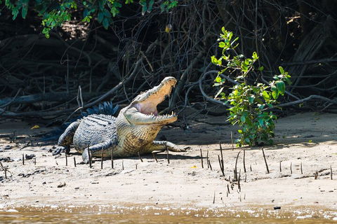 Full Day Cooktown Private Tour - Perths Hotel 4