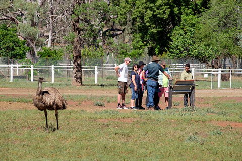 Yura Udnyu - Our Culture, Your Culture (Aboriginal Cultural Walk) - Perths Hotel 1