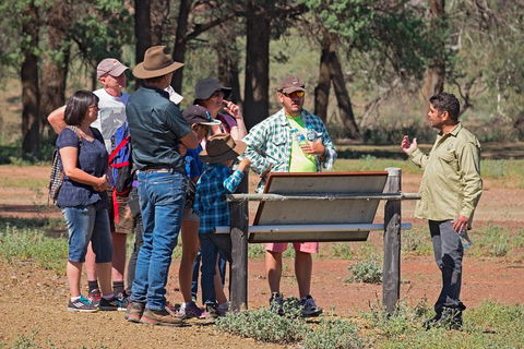 Yura Udnyu - Our Culture, Your Culture (Aboriginal Cultural Walk) - Perths Hotel 2